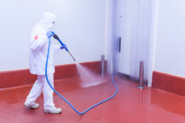 Best Building Exterior Washing  in Live Oak, CA