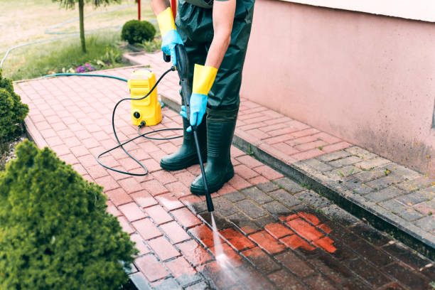 Best Driveway Pressure Washing  in Live Oak, CA