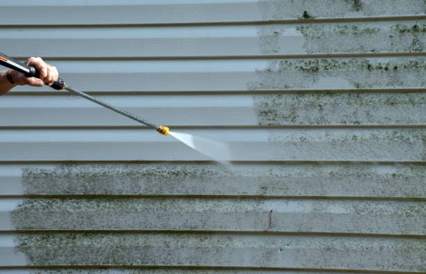 Best Dumpster Area Cleaning  in Live Oak, CA