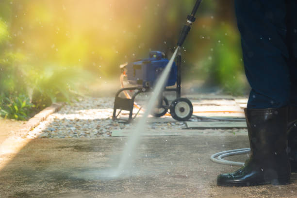 Best Oil Spill Cleanup  in Live Oak, CA
